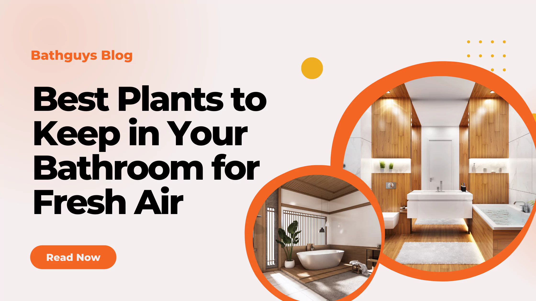 Bathroom for Fresh Air