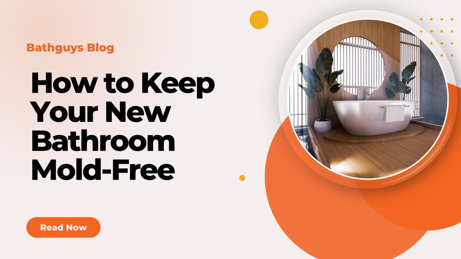 How to Keep Your New Bathroom Mold-Free